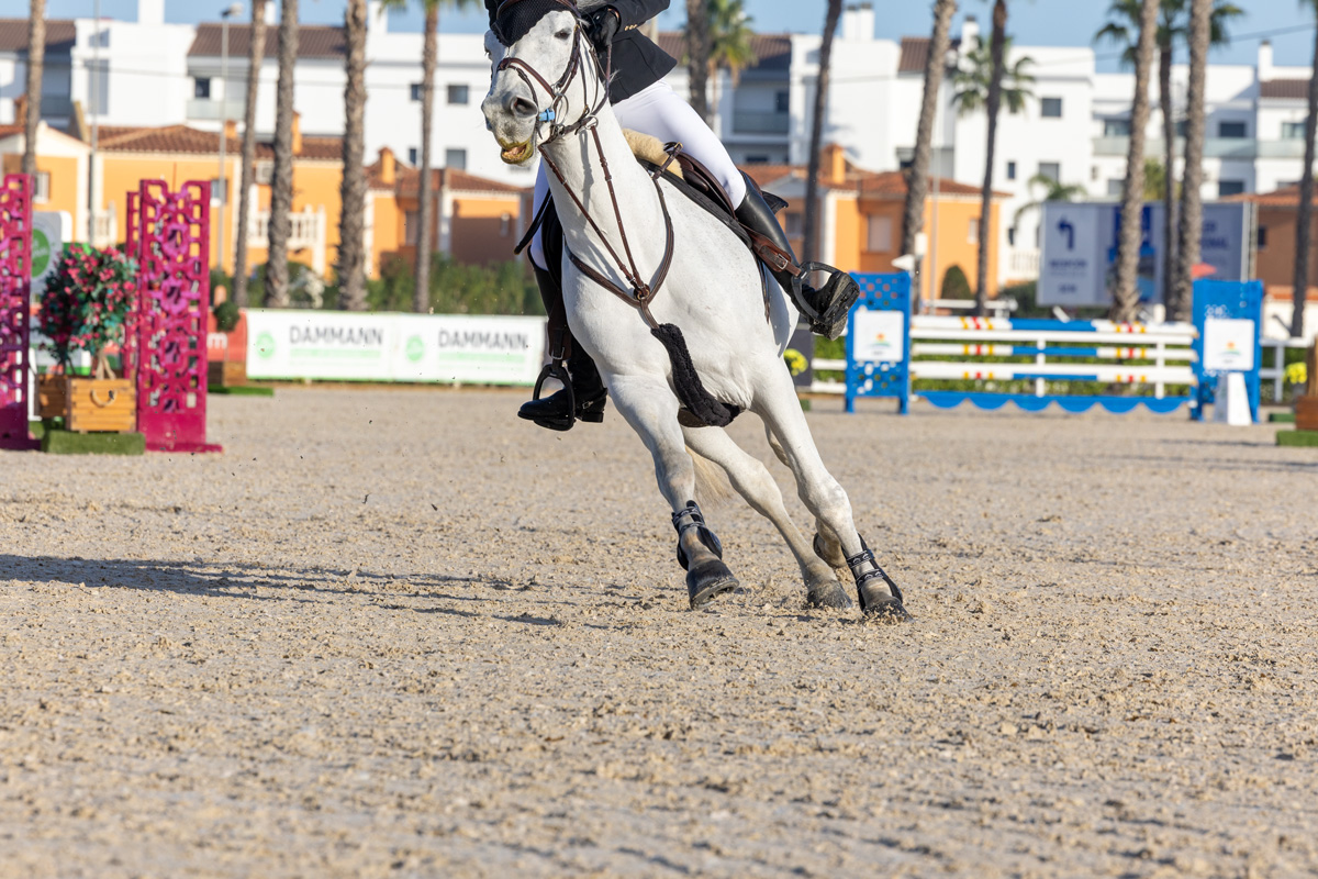 Risohorse® Ebbe und Flut – Turnierboden