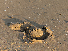 Risohorse® Ebbe und Flut ohne Zuschlagstoffe