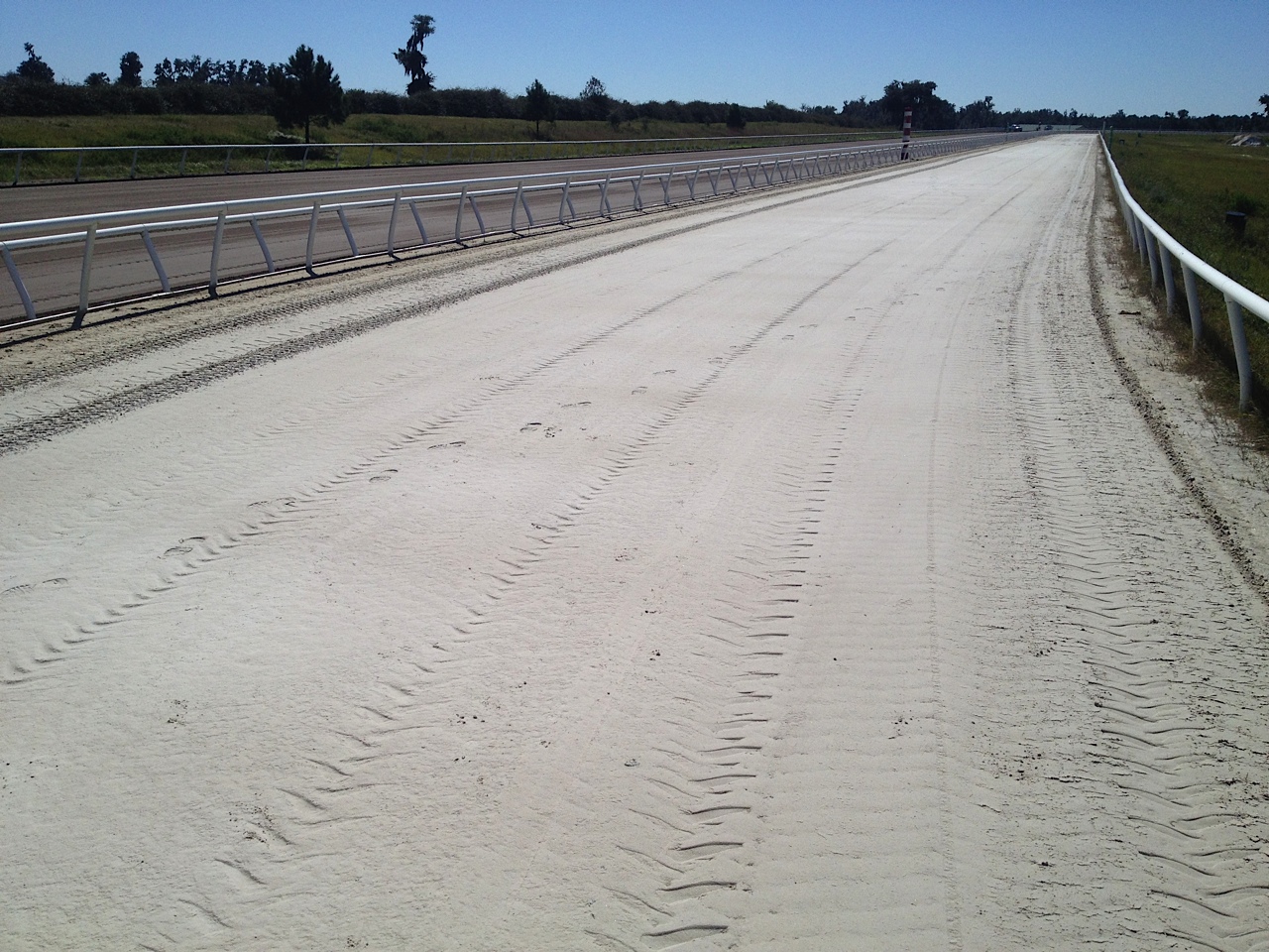 Galopp-Rennbahn Adena Springs Ocala Florida innovative Risohorse Technologie USA