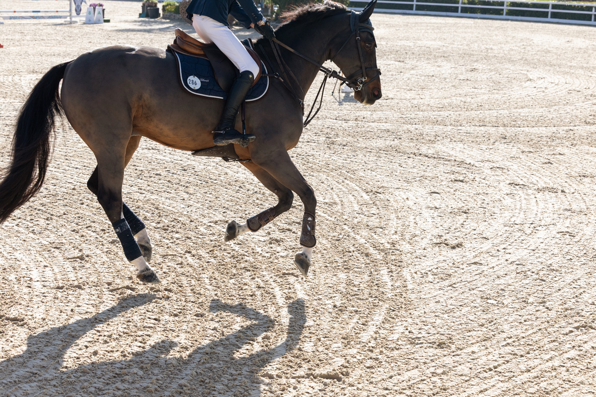 Dressurreiter im Training auf Risohorse® Ebbe-Flut-Reitboden Außenplatz