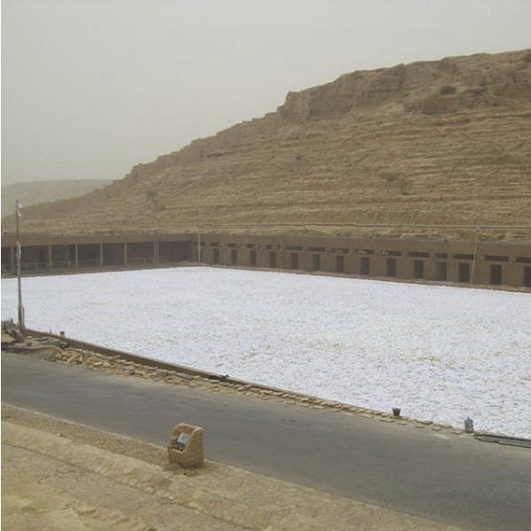 Königliche Reitanlage in Riyadh Saudi-Arabien mit Risohorse Ebbe-Flut-Reitboden