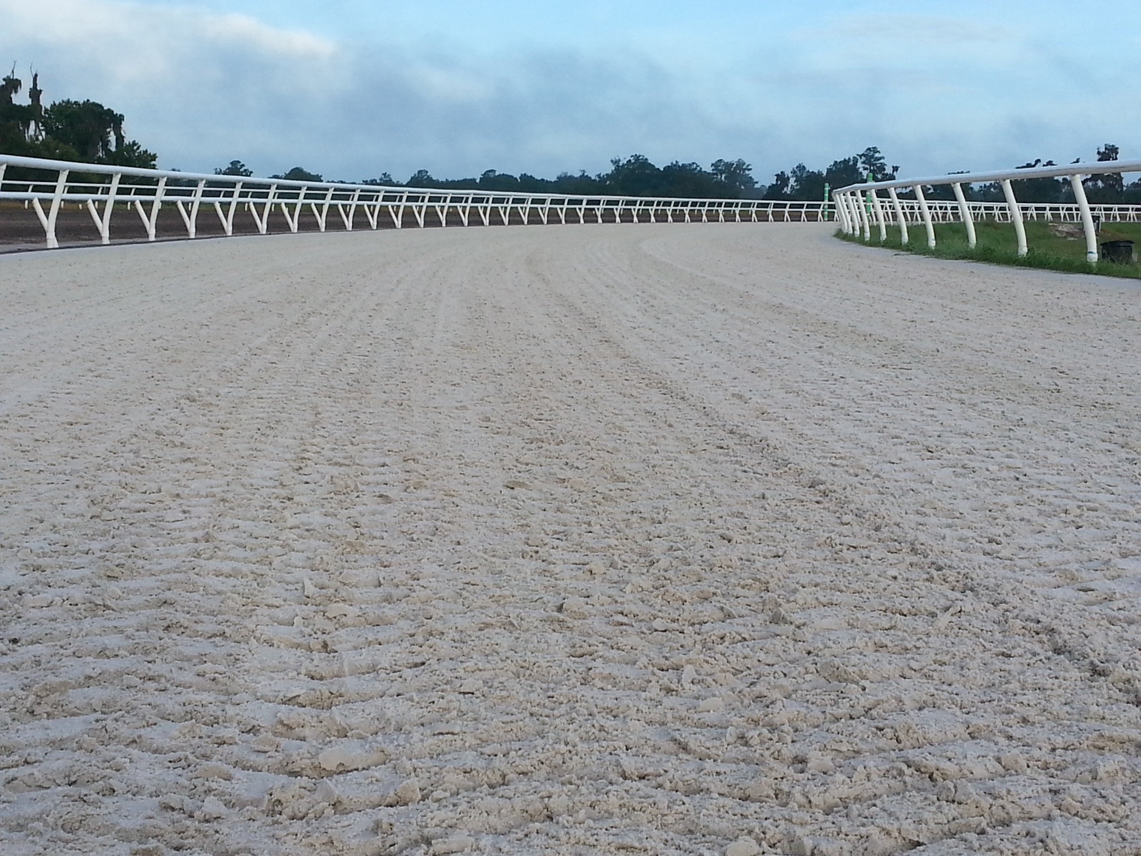 Risohorse Rennbahnbelag Adena Springs South erste Galopprennbahn mit Ebbe-Flut-System-02