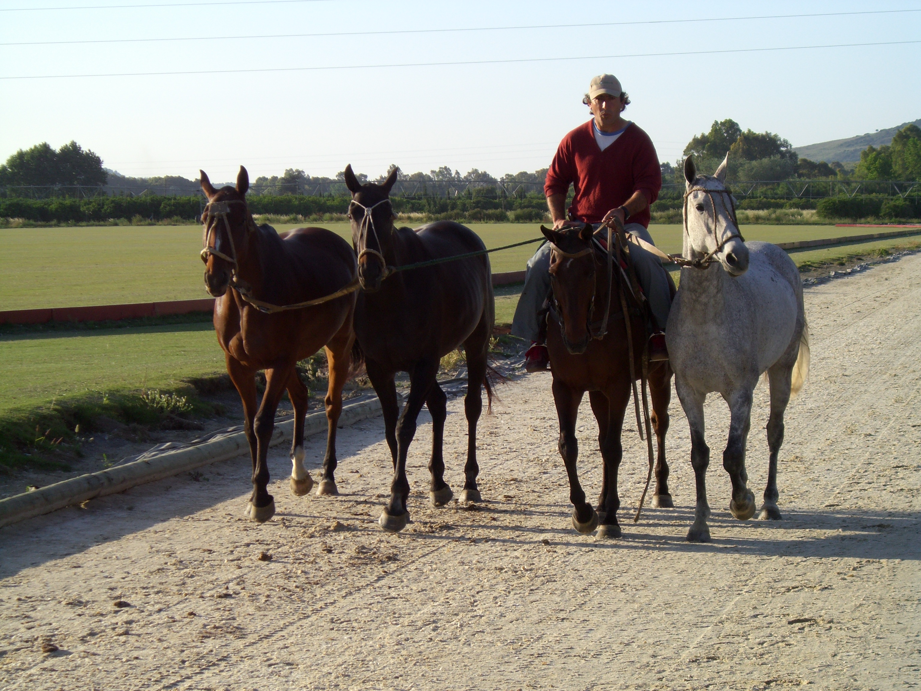 Grupo Dos Lunas Club de Polo