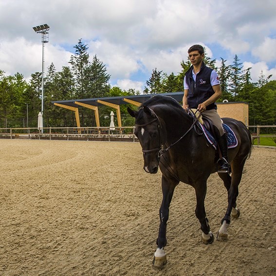 Risohorse® Ebbe-Flut-System