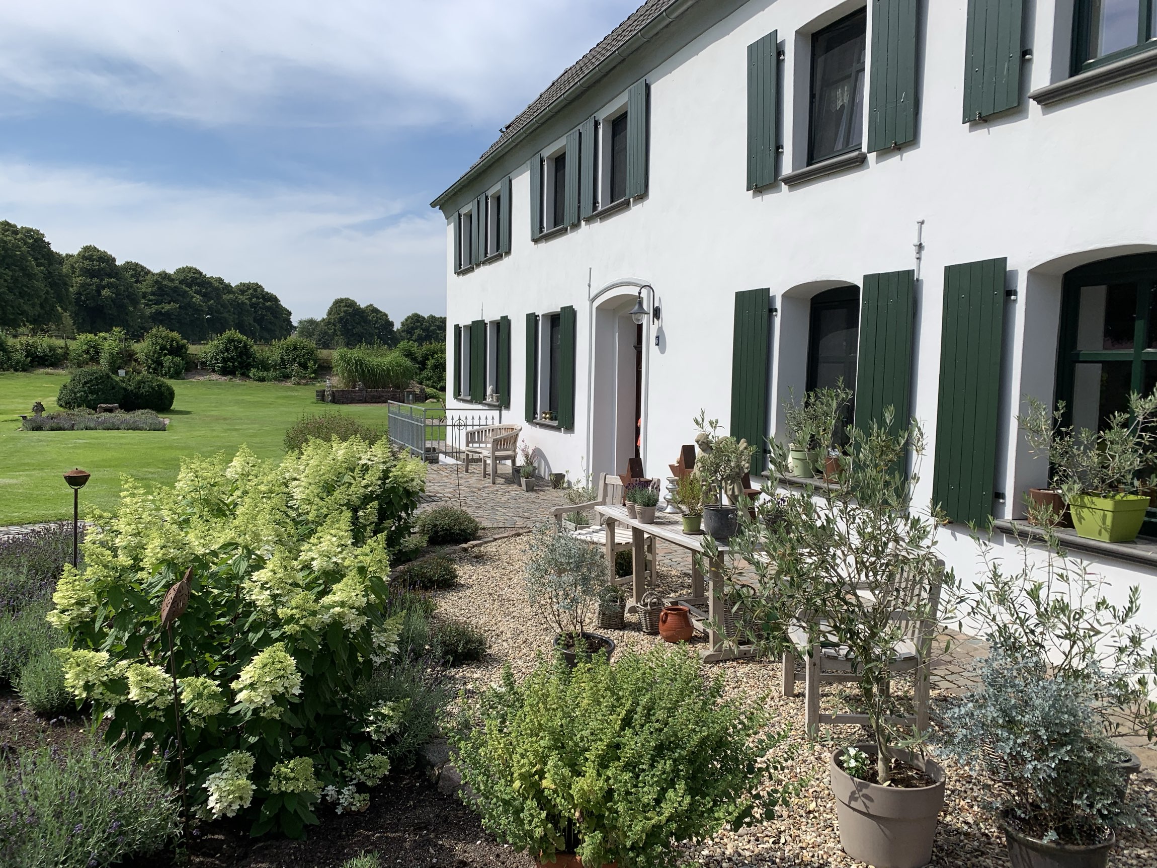 First Risohorse® clients 1998-2000 Dr. Schulten-Baumer Gestüt Babiacki Hengststation Schult