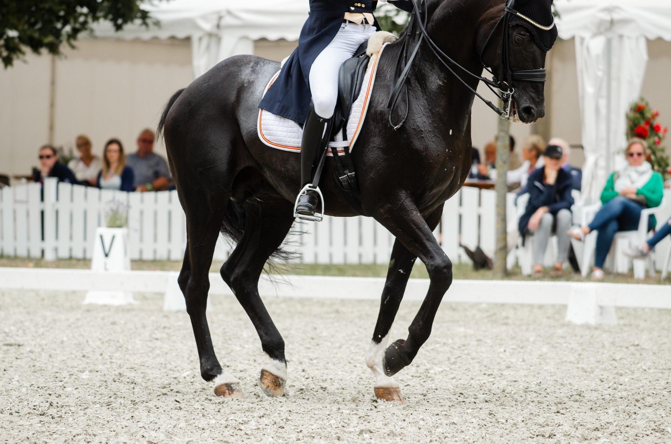 Risohorse® Ebbe und Flut – Turnierboden