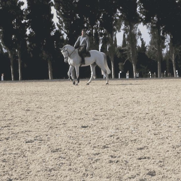 Sunshine Tour tournament facilities with Risohorse since 2002 in Vejer de la Frontera