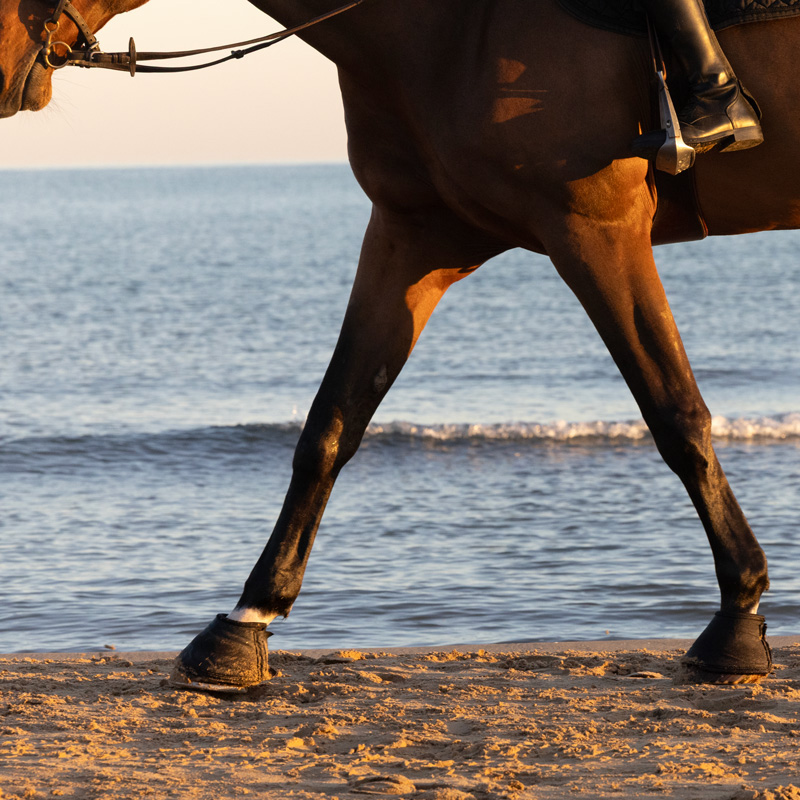 Costa del Sol Equestrian Tour Mijas Málaga con pistas Risohorse® 30550m²