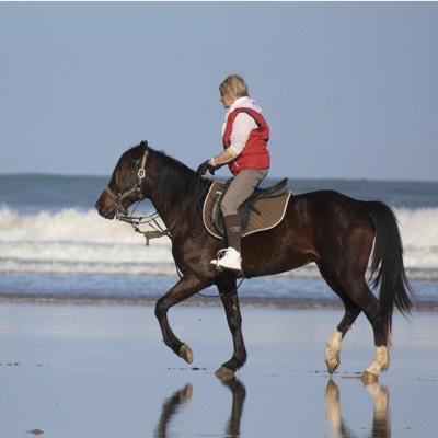 Pista ecuestre exterior centro ecuestre Nagel Friedrichskoog con Risohorse®