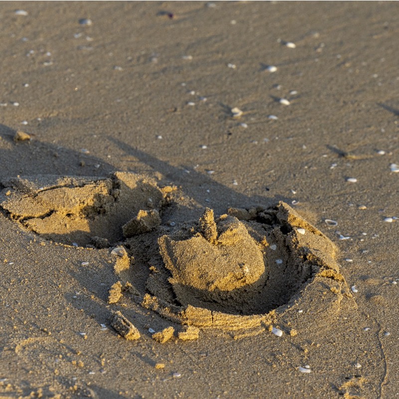 Pista ecuestre sin aditivos Polderhof Rheinberg con sistema Risohorse®