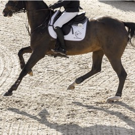 Pistas ecuestres Risohorse® de flujo y reflujo en Bélgica exterior e interior